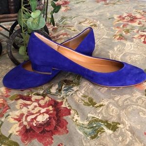 Beautiful royal blue JCrew shoes